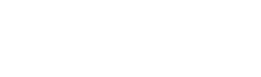 Travel Bridge Services Logo